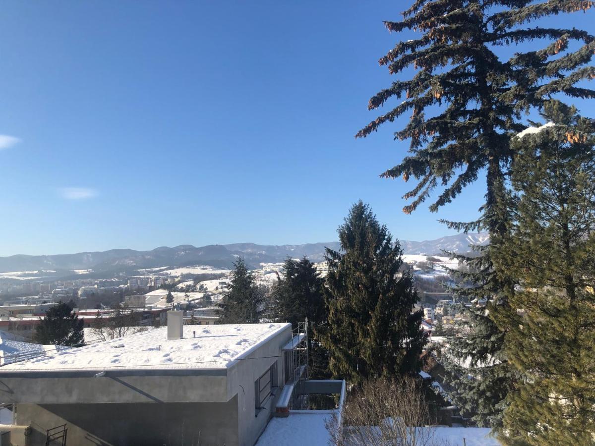 Apartment, Sun Terrace, Privat Parking Besztercebánya Kültér fotó